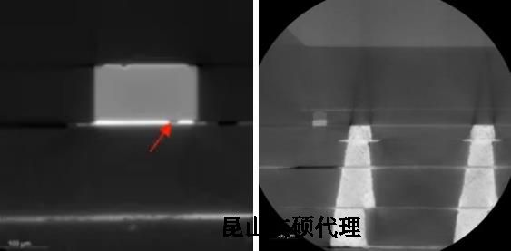 陵水蔡司陵水X射线显微镜